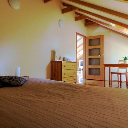 Appartamento Strzegom Apartament-Pokoje Esterno foto